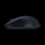 03.webp