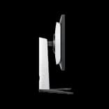 05.webp