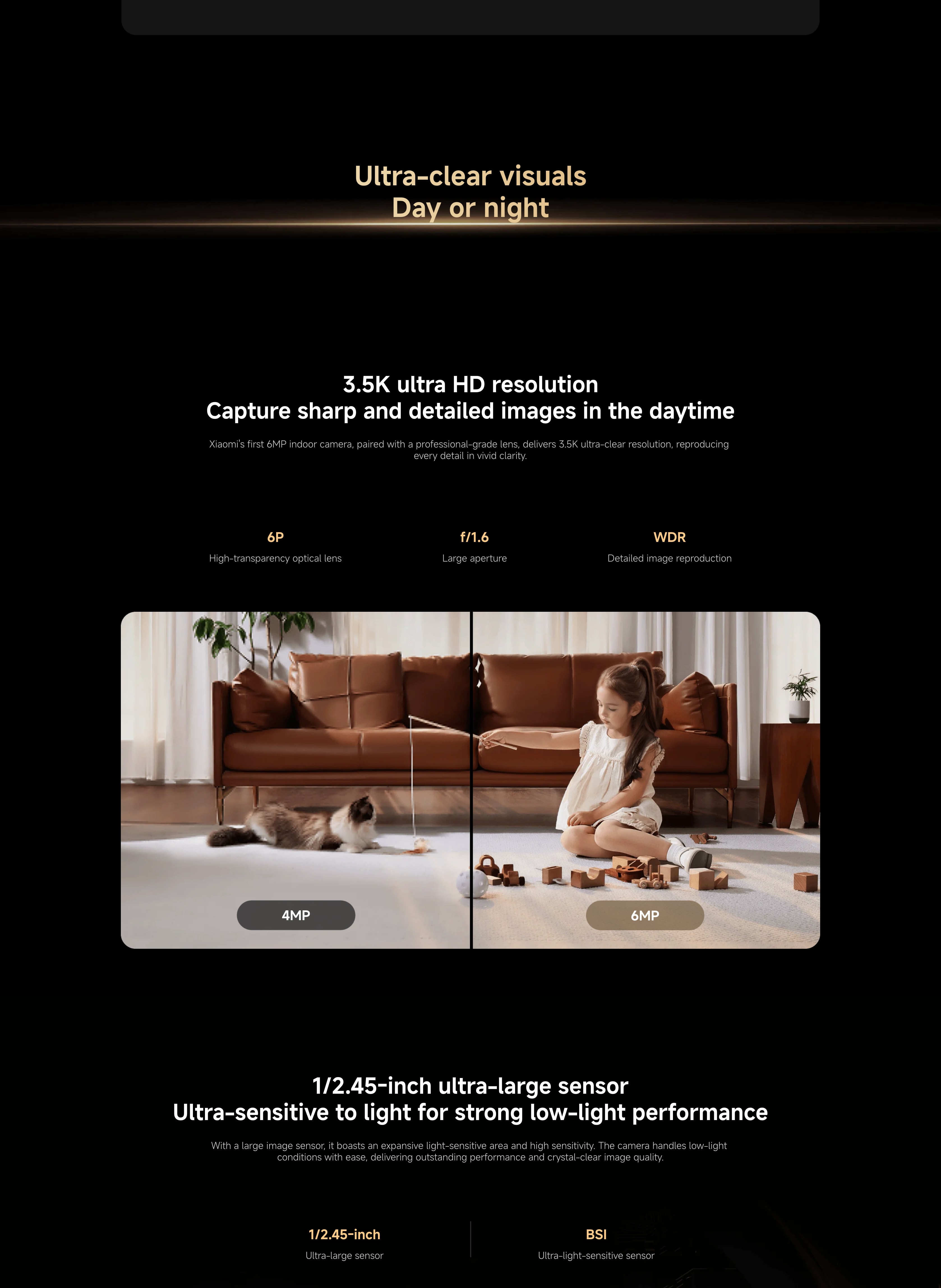 02.webp