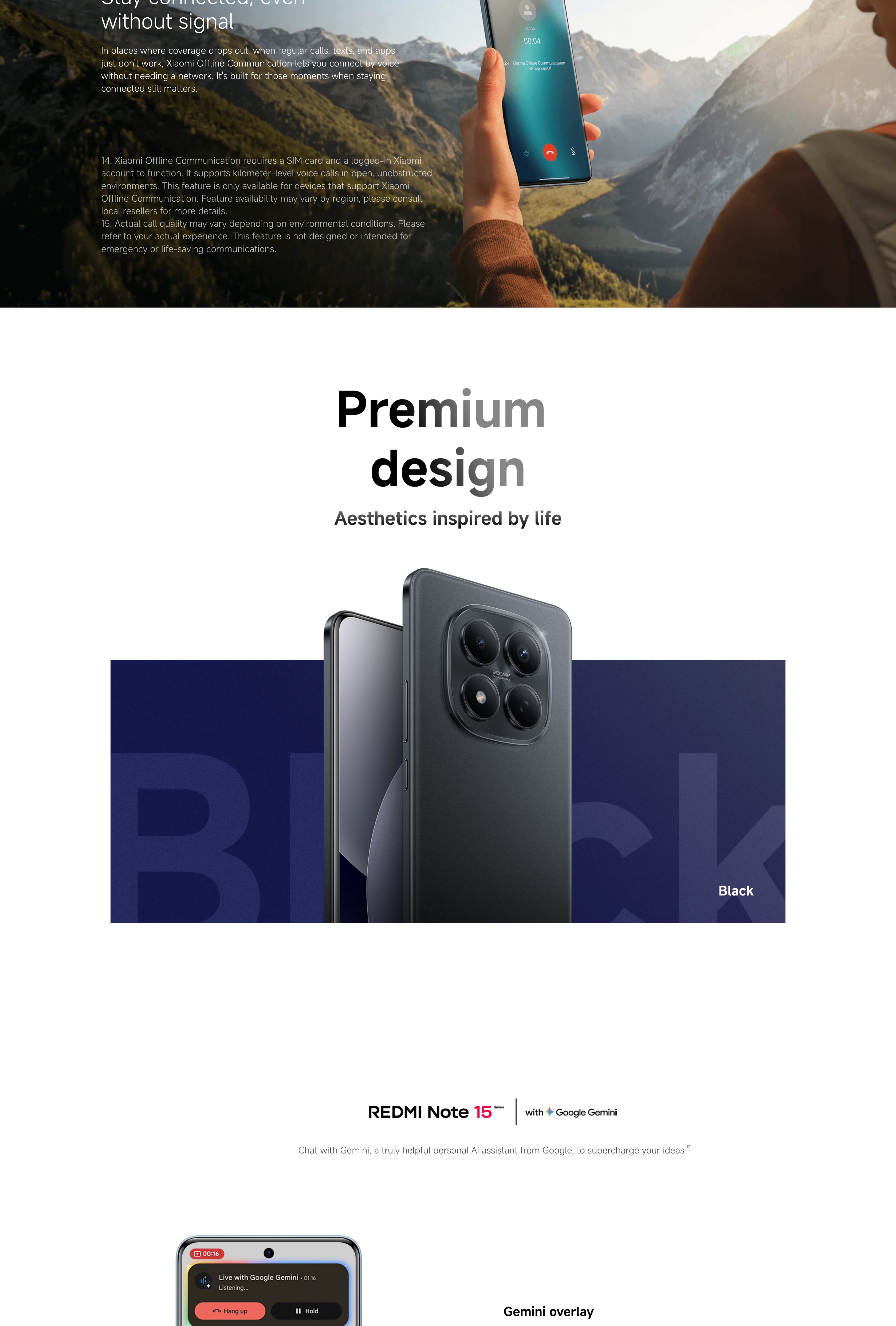 11.webp